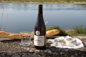 Vidange fosse septique Sèvremoine